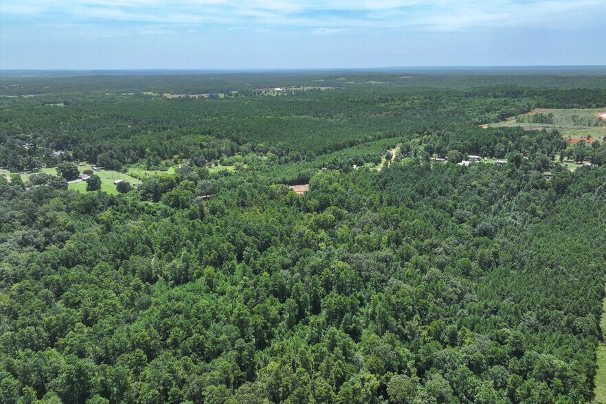 More Photos Of Tract 2 County Road 4102, Jacksonville Land For Sale