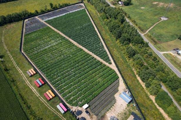 More Photos Of 8505 Isabella County Line rd, Coleman Land For Sale