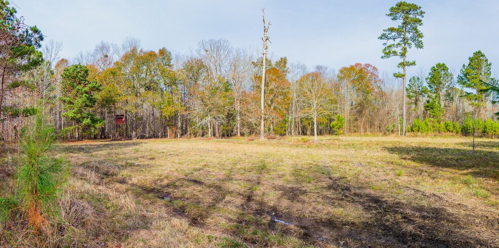 More Photos Of 409 Windward Ave, Orangeburg Land For Sale