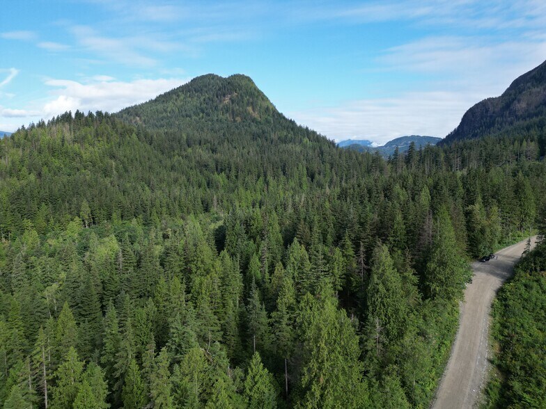 More Photos Of 241 Sylvester Rd, Mission Land For Sale