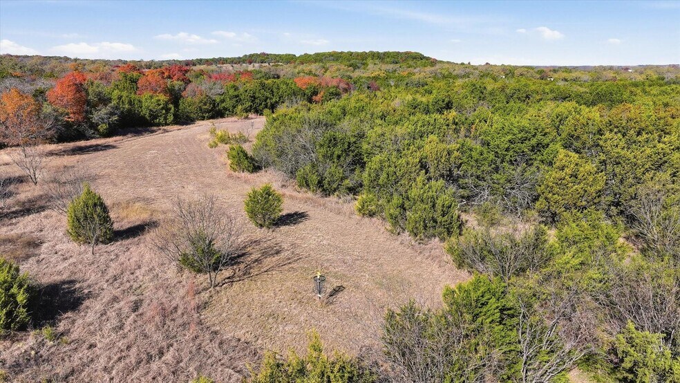 More Photos Of 8980 County Road 156, Bluff Dale Land For Sale