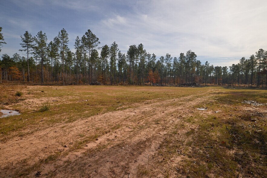 More Photos Of 480 Martin Rd, Cotton Valley Land For Sale