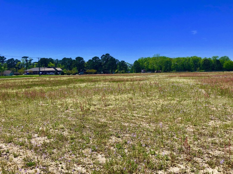 More Photos Of Brentway Ave, Williamston Land For Sale