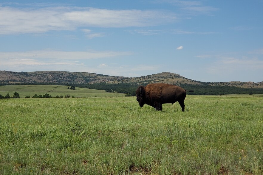 Primary Photo Of E 980 Road, Arapaho Land For Sale