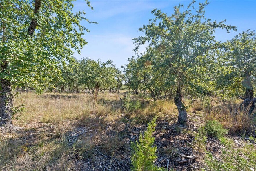 More Photos Of 3981 & 3983 U.S. 290, Dripping Springs Land For Sale