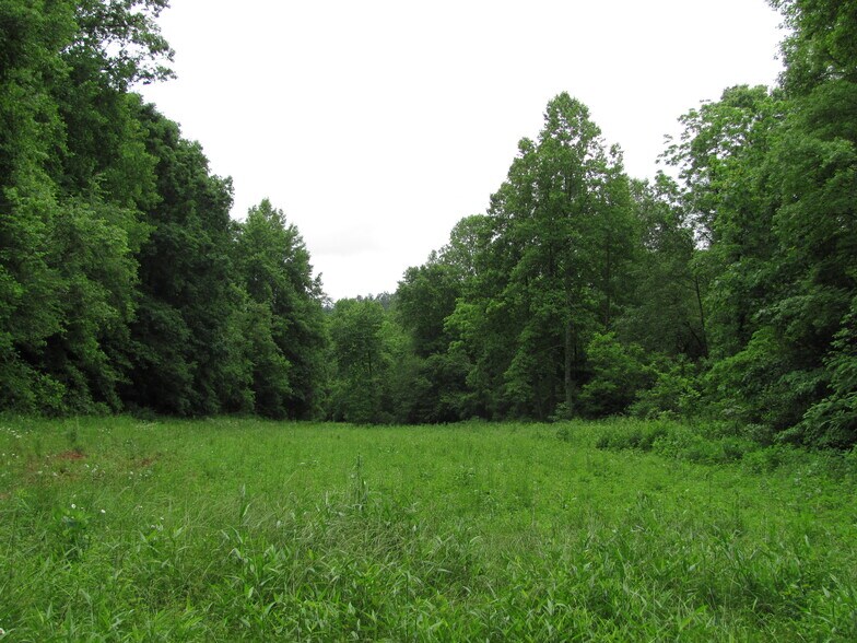 More Photos Of Ridge Rd, Ferguson Land For Sale