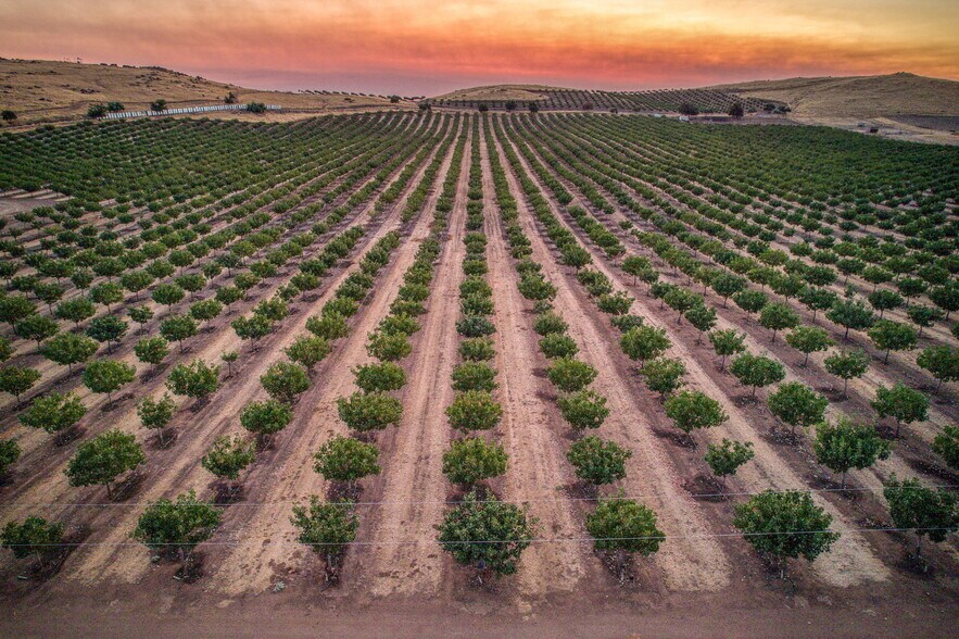 More Photos Of 13638 E Shepherd Ave, Clovis Land For Sale