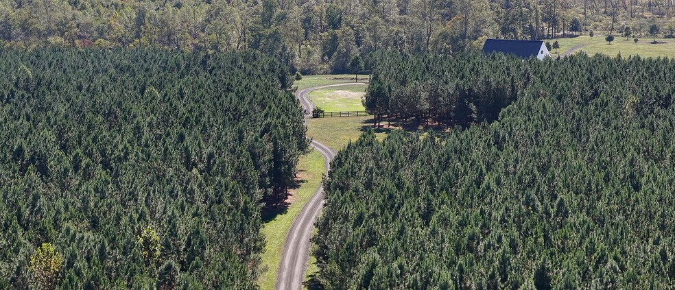 More Photos Of 4280 Cedar Hill Rd, Mineral Land For Sale