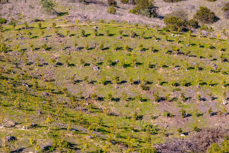 More Photos Of 40390 Ross Rd, Fallbrook Land For Sale