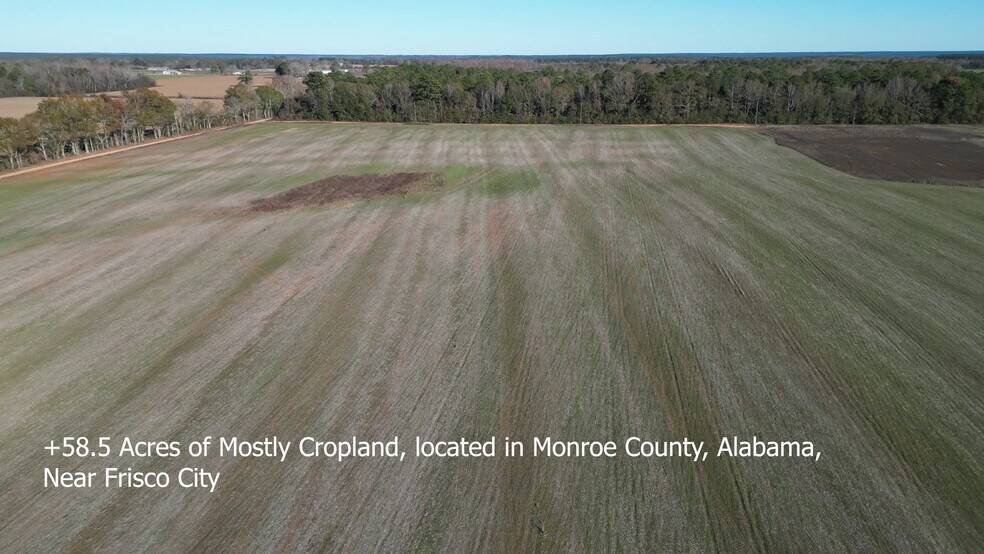 Primary Photo Of 0 Wiggins Road, Frisco City Land For Sale