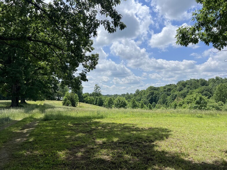 More Photos Of 1566 Preston Ridge Rd, Mulberry Land For Sale