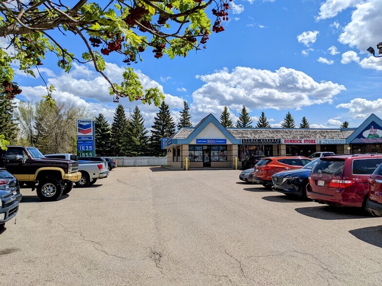More Photos Of 255 Davison Dr, Red Deer General Retail For Sale
