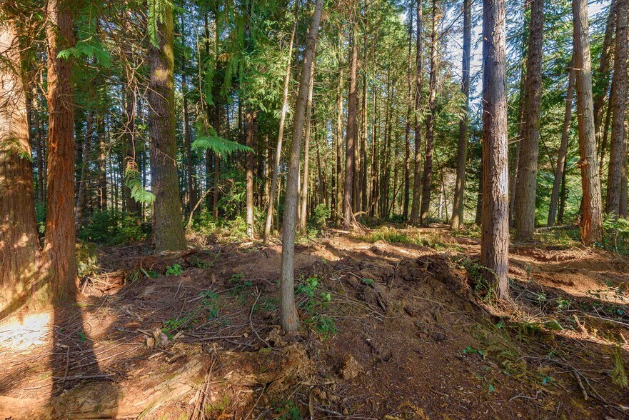 More Photos Of 0 Newmark ave, North Bend Land For Sale
