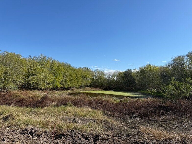 More Photos Of 223 County Road 236, Stockdale Land For Sale