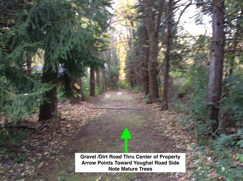 More Photos Of 30W155 Calumet Ave W, Warrenville Land For Sale