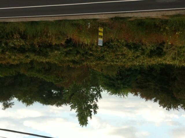 Primary Photo Of 151 Broadway, Raynham Land For Sale