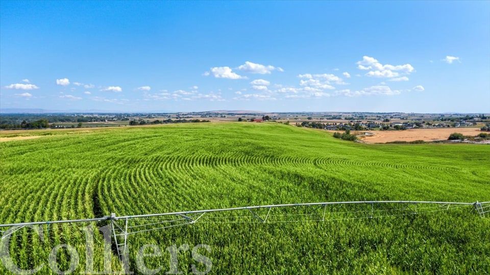 More Photos Of 0 Lewis Lane, Nampa Land For Sale