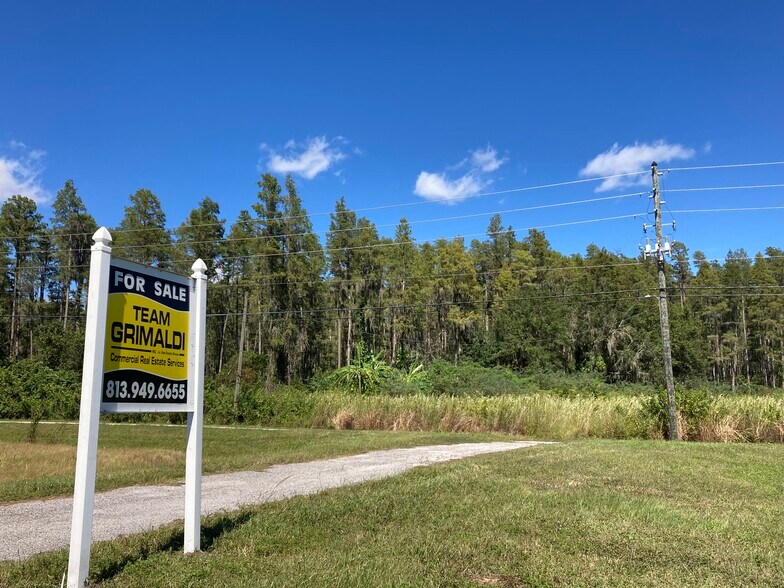 More Photos Of 20233 State Road 54, Lutz Land For Sale
