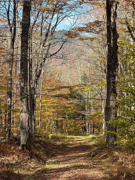 More Photos Of 1928 VT-131, Springfield Land For Sale