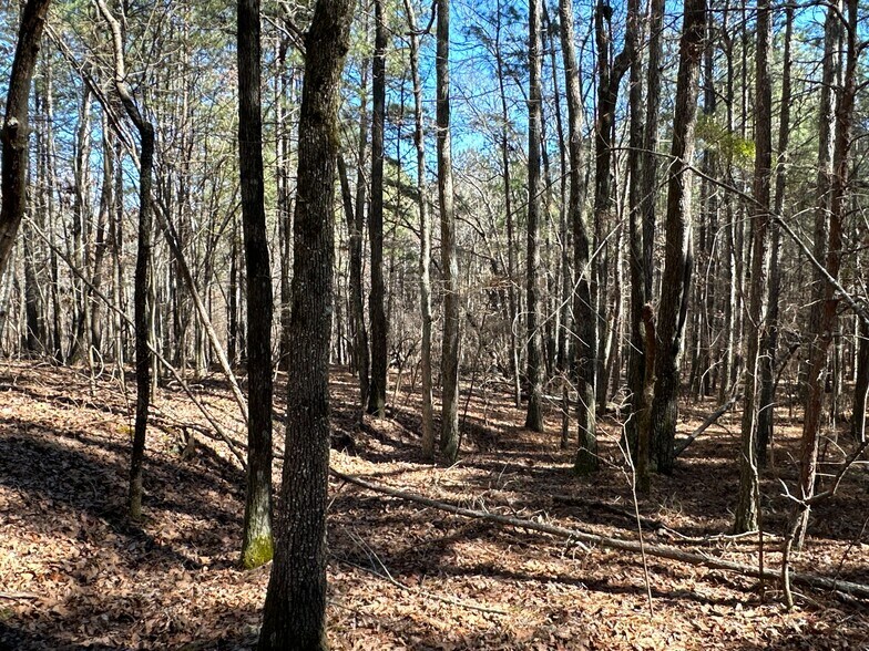 More Photos Of 3472 Prior Station Rd, Cedartown Land For Sale