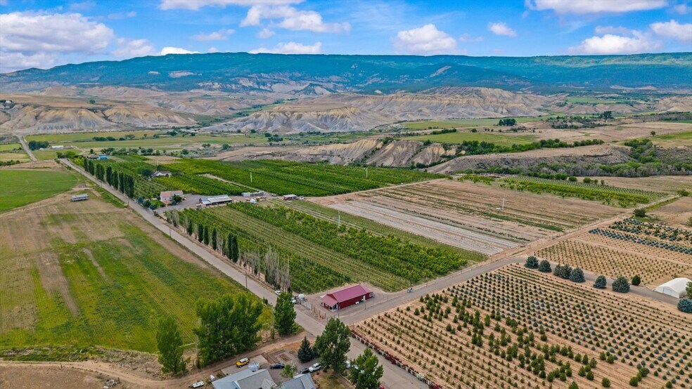 More Photos Of 20809 Nowhere Rd, Eckert Land For Sale