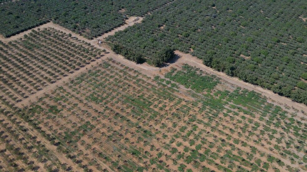 More Photos Of 2099 Hwy 70, Biggs Land For Sale