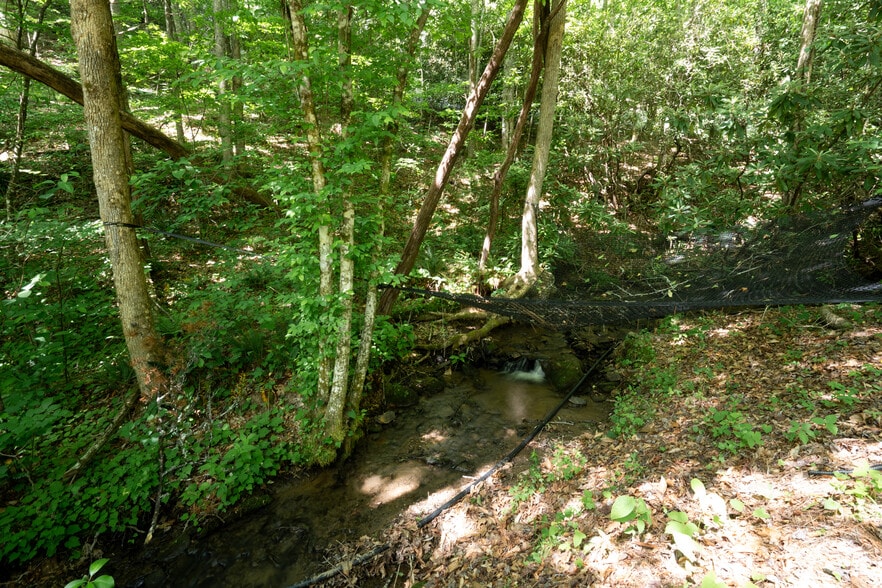 More Photos Of 38 Camp Ultima Blvd, Franklin Hospitality For Sale