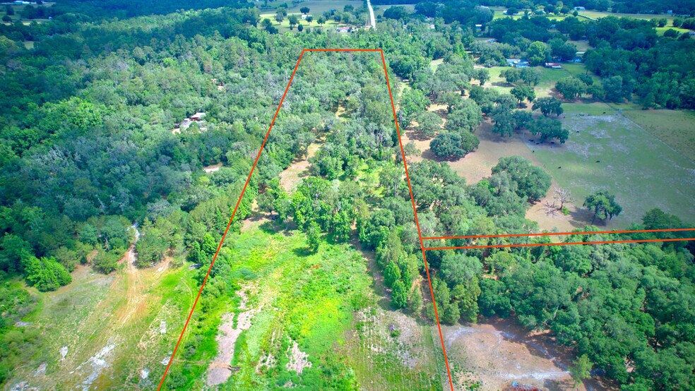 More Photos Of 3267 Neff Lake Rd, Brooksville Land For Sale