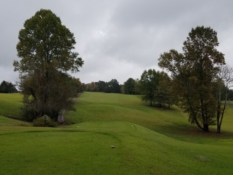 More Photos Of 1118 Congress Pkwy N, Athens Golf Course Driving Range For Sale