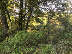 More Photos Of TBD US 23 S hwy, Wise Land For Sale