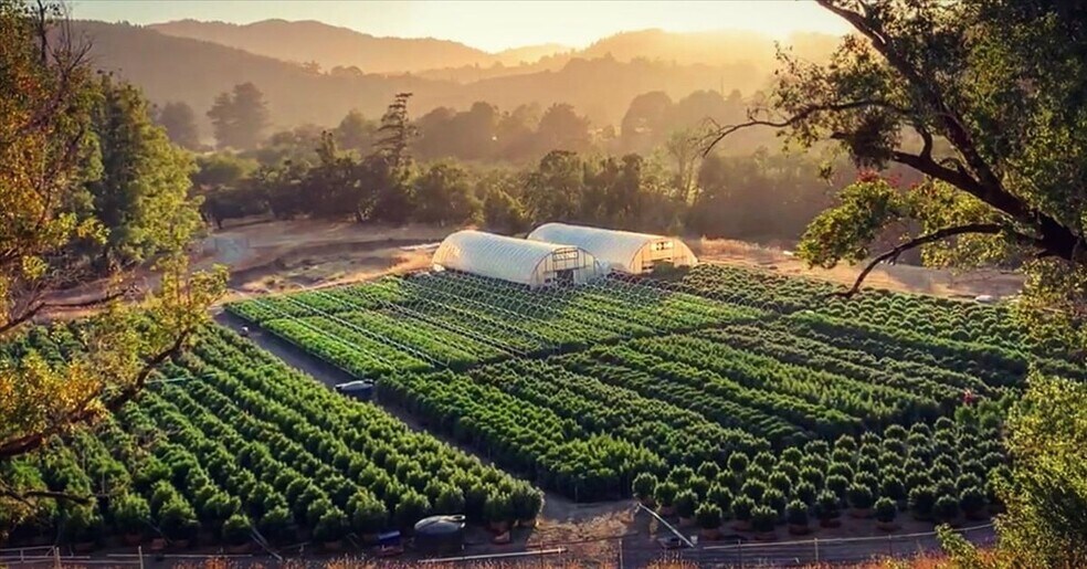 More Photos Of 220 Wilder Ridge rd, Honeydew Land For Sale