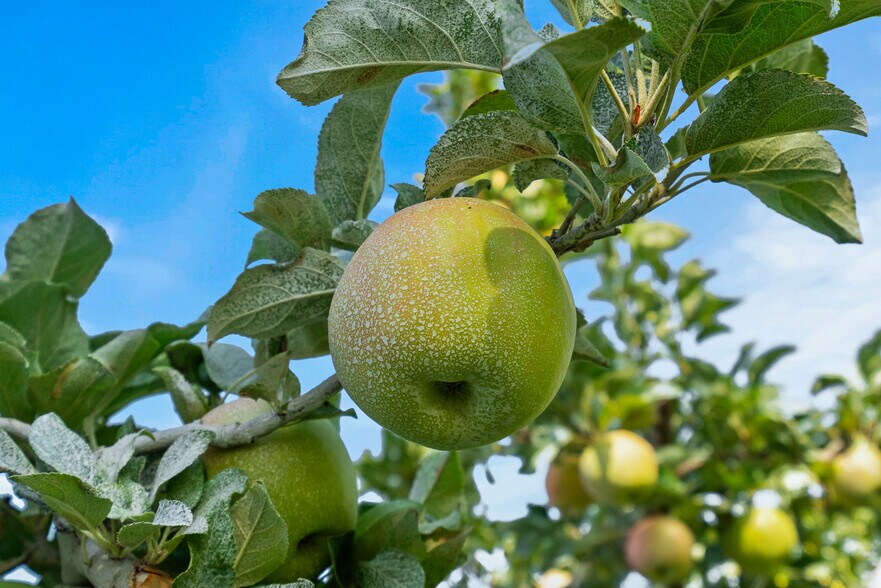 More Photos Of NKA Desmarais rd, Moxee Land For Sale