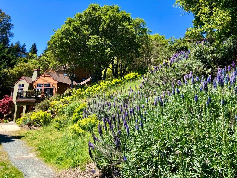 More Photos Of 7033 Buckingham blvd, Berkeley Land For Sale