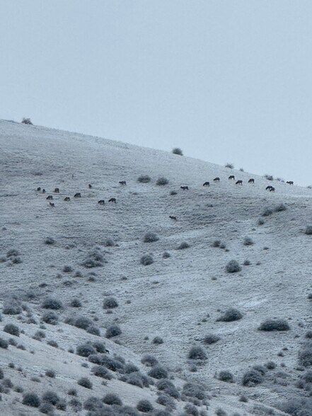 More Photos Of 46054 McKay Creek Rd, Pilot Rock Land For Sale