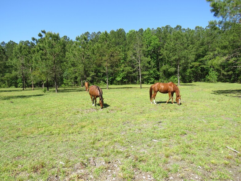 More Photos Of 4013 Thomas Rd, Little River Horse Stables For Sale