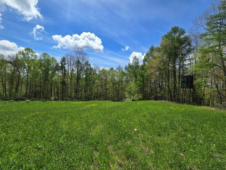 More Photos Of 0 Lower Mudlic rd, Mayport Land For Sale