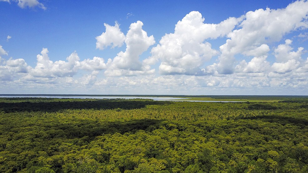 More Photos Of Lake Harney Rd, Osteen Land For Sale