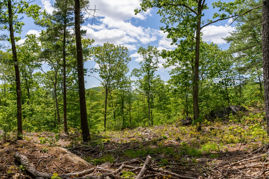 More Photos Of 13 Dew Rd, Barkhamsted Land For Sale