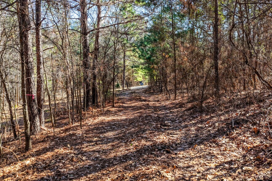 More Photos Of 1609 County Road 246 S rd, Tyler Land For Sale