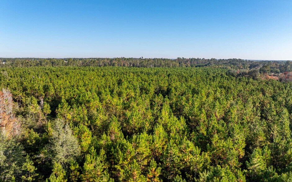 More Photos Of 92nd Path, Wellborn Land For Sale