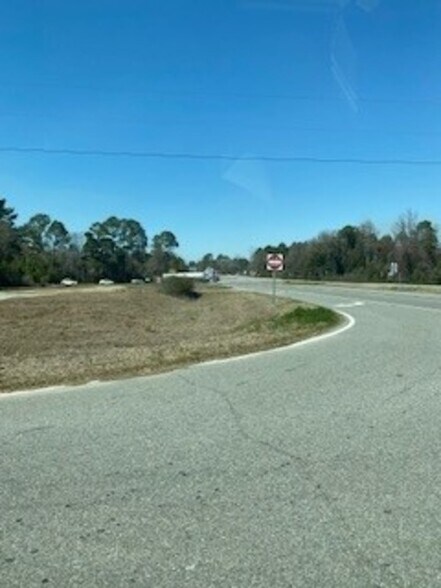 More Photos Of 0 US HWY 19 N, Meigs Land For Lease