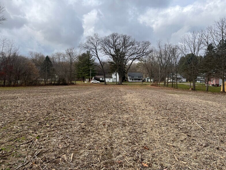 More Photos Of 0 V/L Green St., Springport Land For Sale