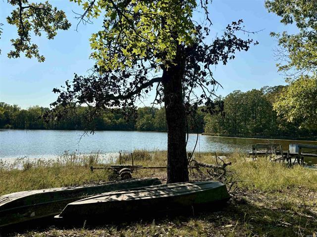 More Photos Of 201 Morgan Loop Rd Rd, DeWitt Land For Sale