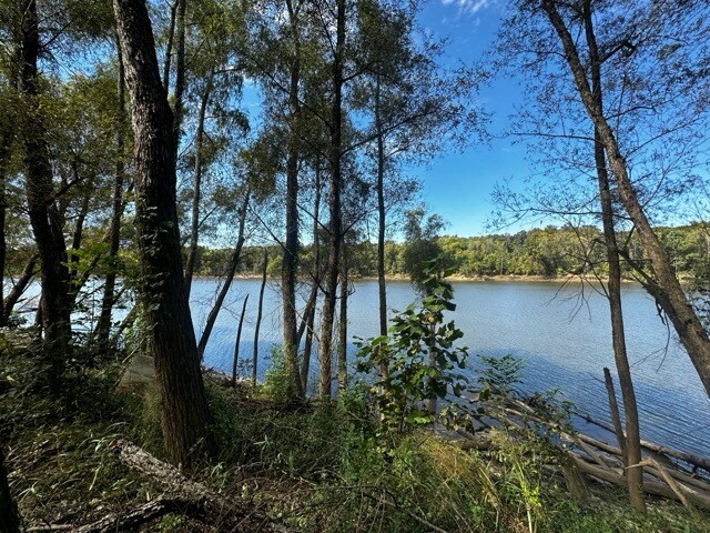 More Photos Of TBD TBD Eureka Landing Road, Uriah Land For Lease