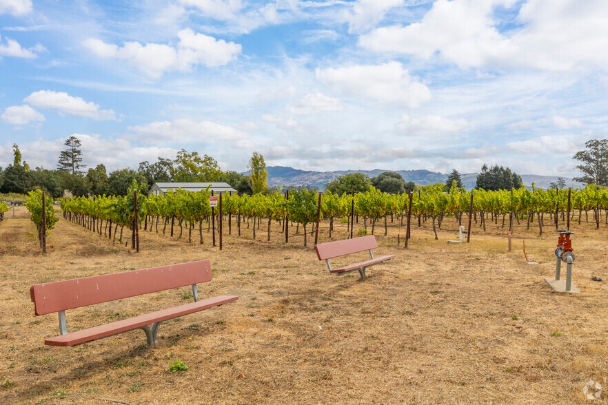 More Photos Of 1680 Los Carneros Ave, Napa Schools For Sale