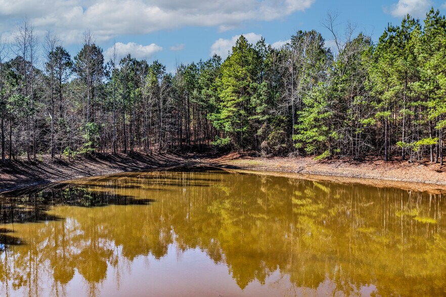 More Photos Of 1609 County Road 246 S rd, Tyler Land For Sale