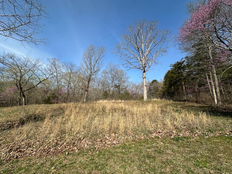 More Photos Of 7312 Highway 60, Georgetown Land For Sale