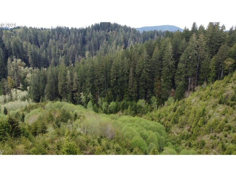 More Photos Of 18-10-00-00-01300500, Mapleton Land For Sale