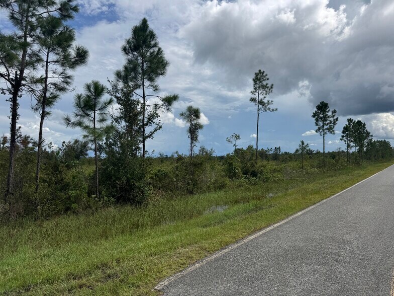 More Photos Of Noah Raulerson Road, Sanderson Land For Sale
