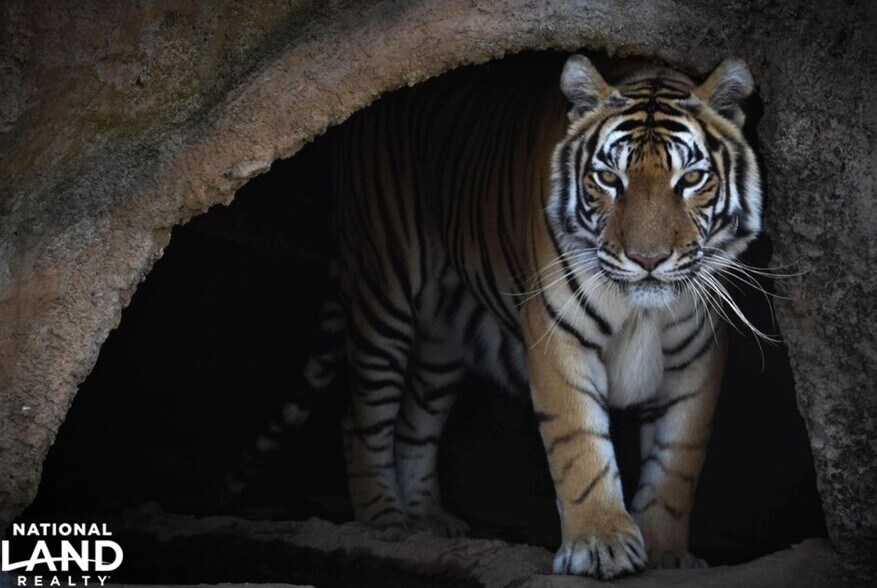 More Photos Of 448 Pilch Rd, Troutman Land For Sale